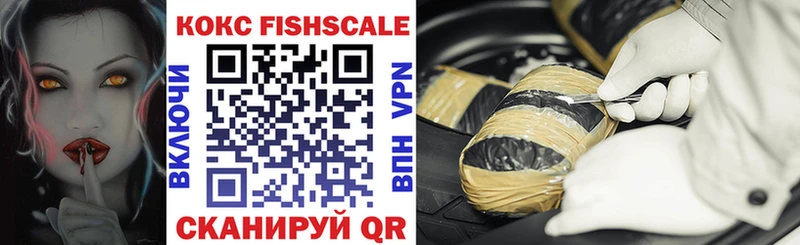 Cocaine FishScale  Купить закладки  Коломна 