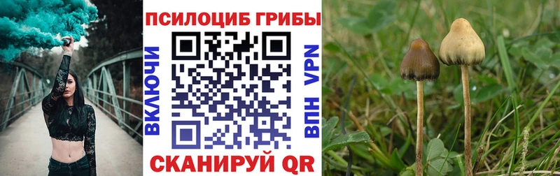 Купить где  Коломна  Галлюциногенные грибы GOLDEN TEACHER 